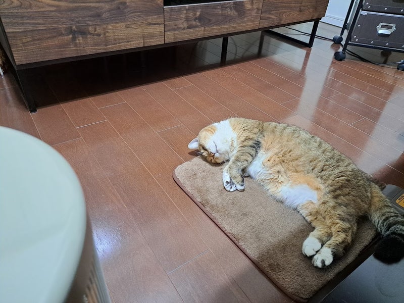 夫の相続手続き終了で返送された通帳の画像