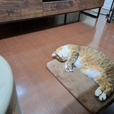 夫の相続手続き終了で返送された通帳の画像