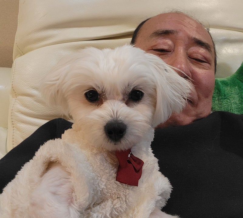 モト 保護犬の譲渡トライアルへの覚悟の画像