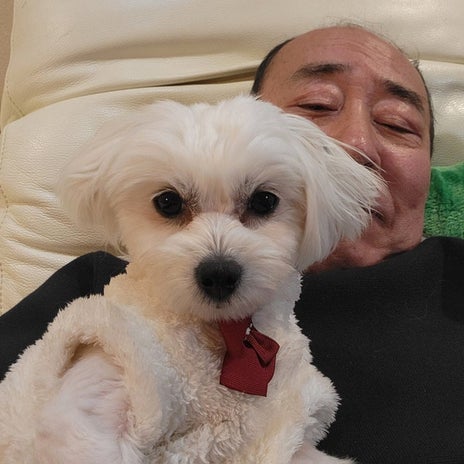 モト 保護犬の譲渡トライアルへの覚悟の画像