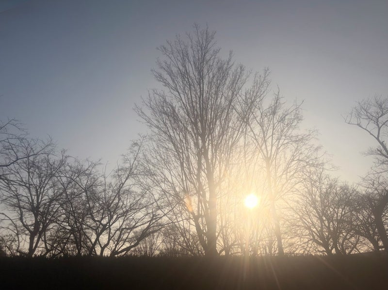 古村比呂 眠れる食べられる動ける事の画像