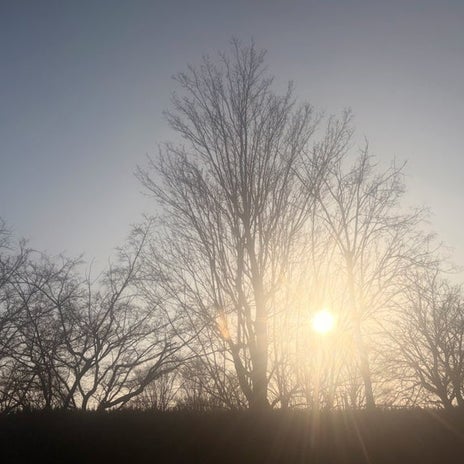 古村比呂 眠れる食べられる動ける事の画像