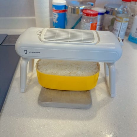 小倉優子 弁当に凍らせたゼリーの画像