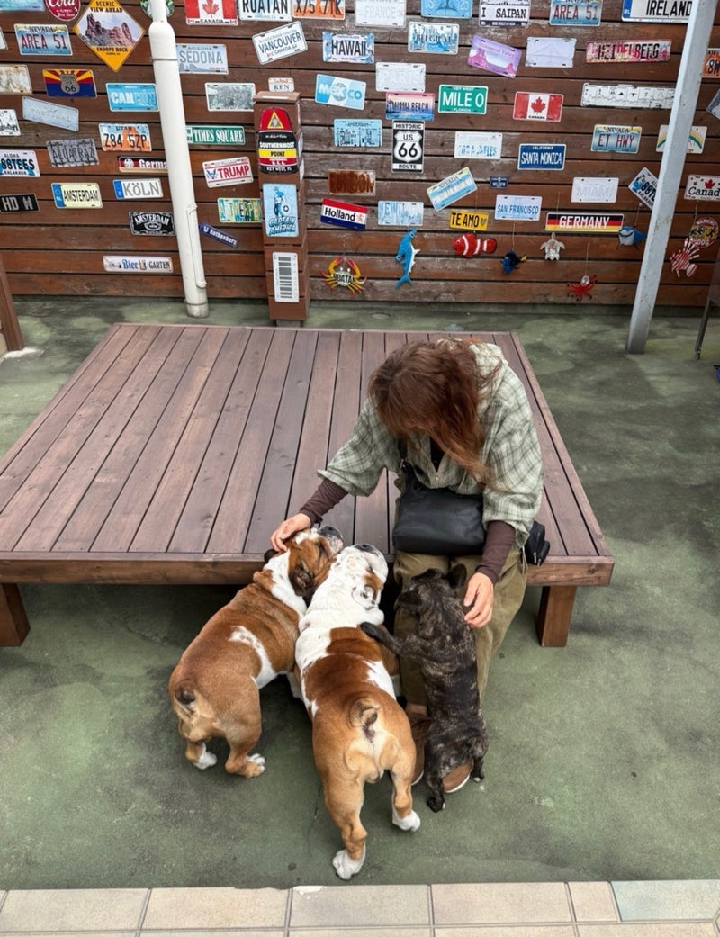 北斗晶 愛犬との年内の旅行計画の画像