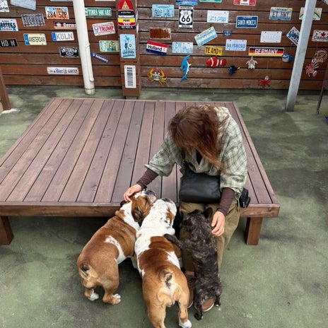 北斗晶 愛犬との年内の旅行計画の画像