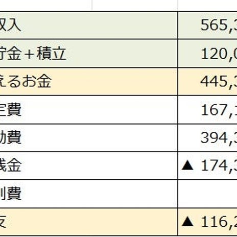 6月の家計簿は11万円超のマイナスの画像