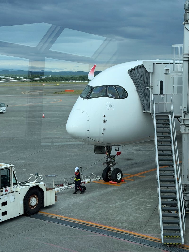 堀ちえみ 羽田空港のロイホで夕飯の画像