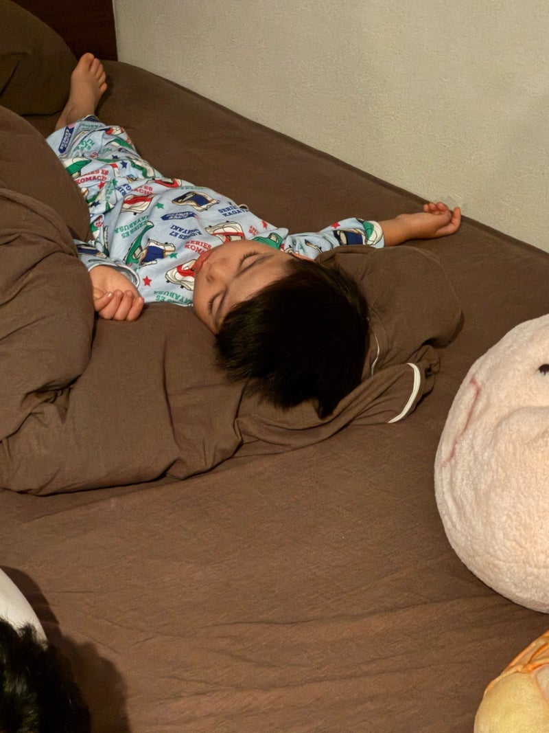 だいた 散歩に行こうとザーザーの画像