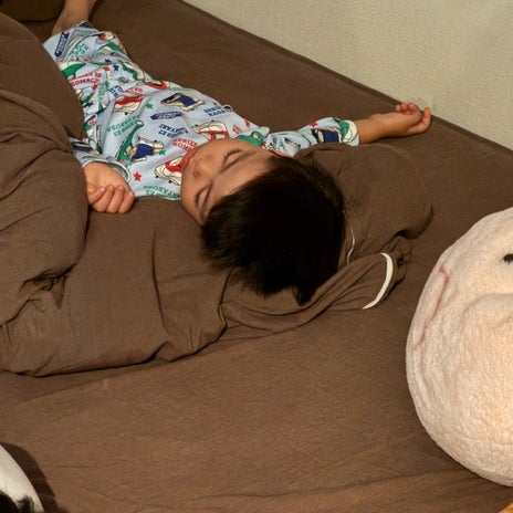 だいた 散歩に行こうとザーザーの画像