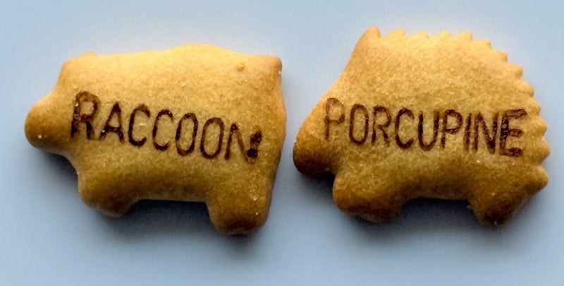 兄の返信で絶望的に寂しい気持ちの画像