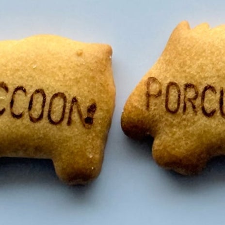 兄の返信で絶望的に寂しい気持ちの画像