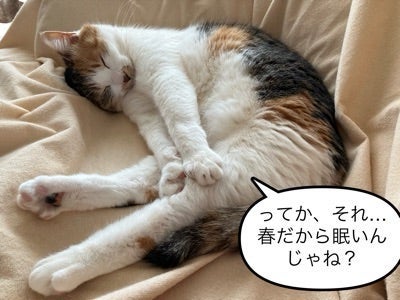 夫が留守でむしろいいと感じる私の画像