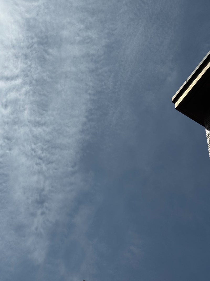 堀ちえみ 打ち合わせ後に二度寝の画像