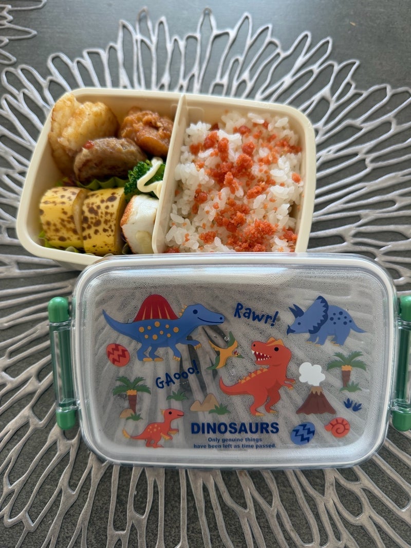 慣れず30分もかかってしまったお弁当の画像