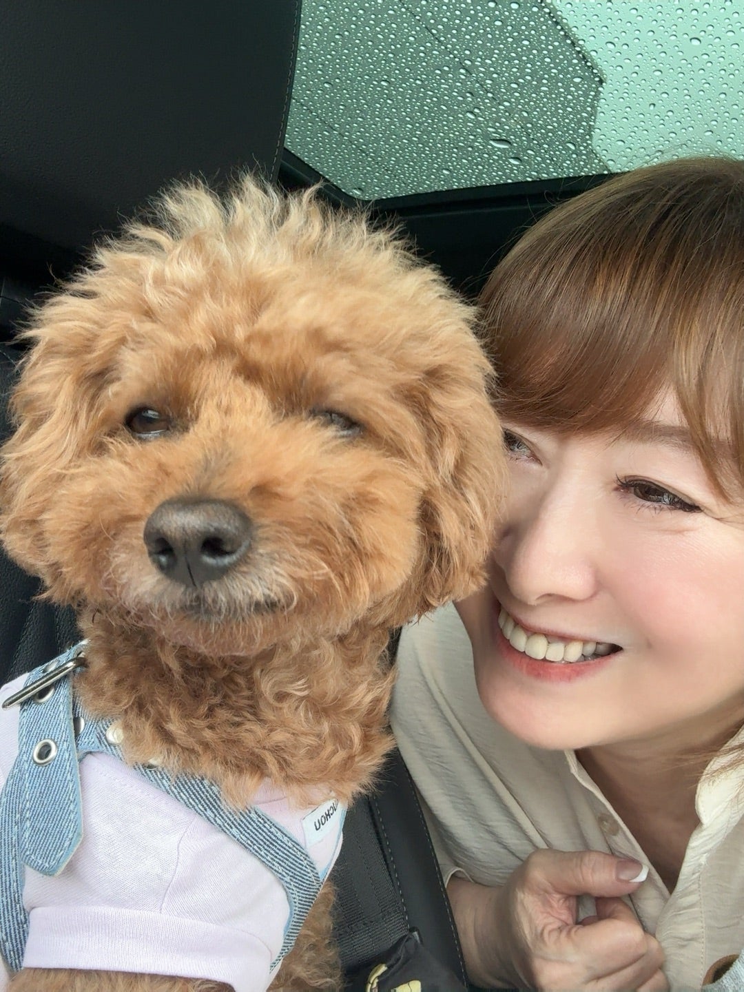 愛犬の耳が気になり検査した結果