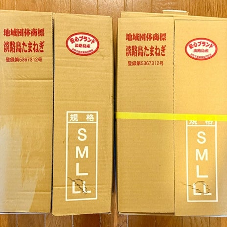 送られてきた大きな新玉ねぎ2箱の画像
