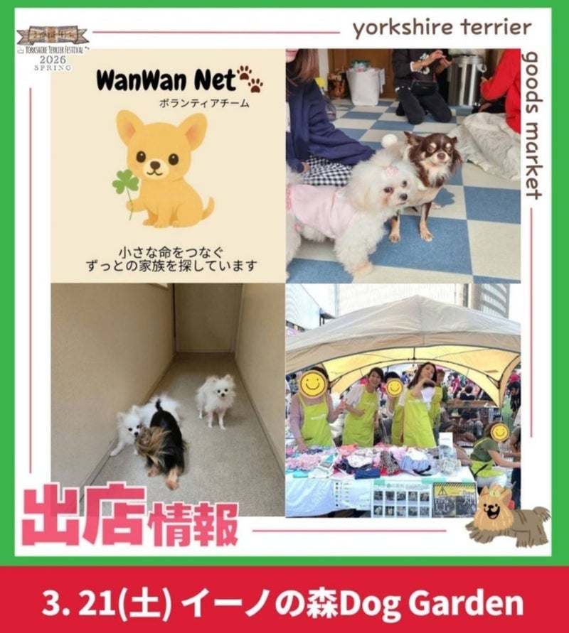 モト冬樹 ヨーキーフェスで保護犬紹介の画像