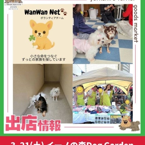 モト冬樹 ヨーキーフェスで保護犬紹介の画像