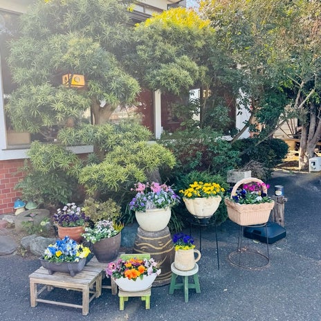 だいた 懐かしの町中華で沢山注文の画像