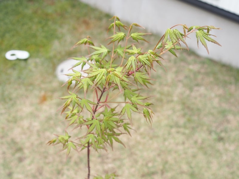 トピックス画像