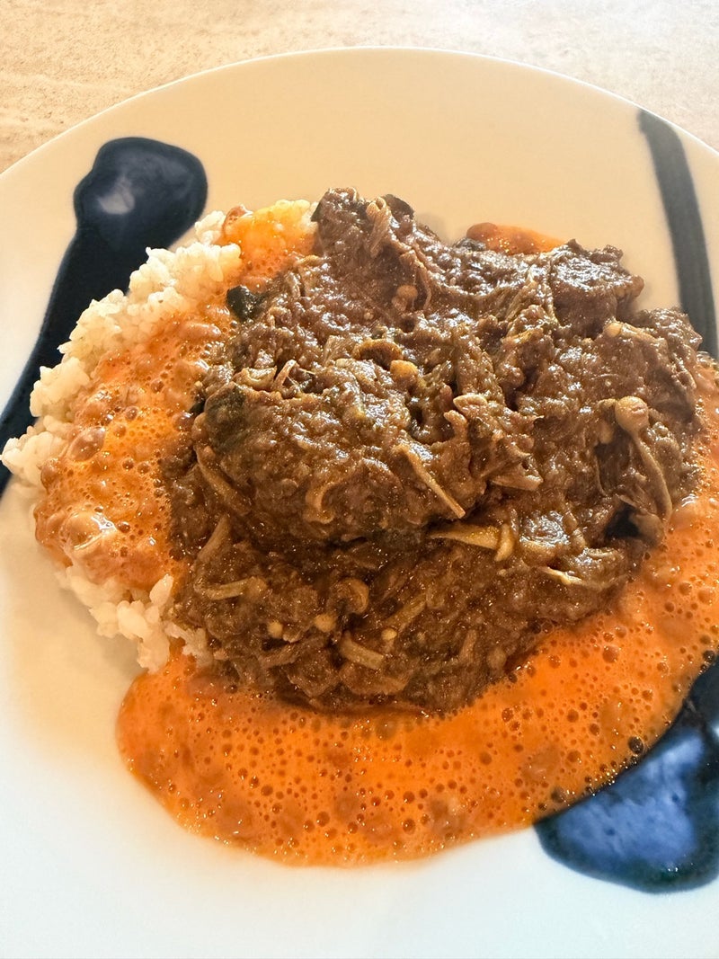 團十郎 カレーを食べて空港へ出発の画像