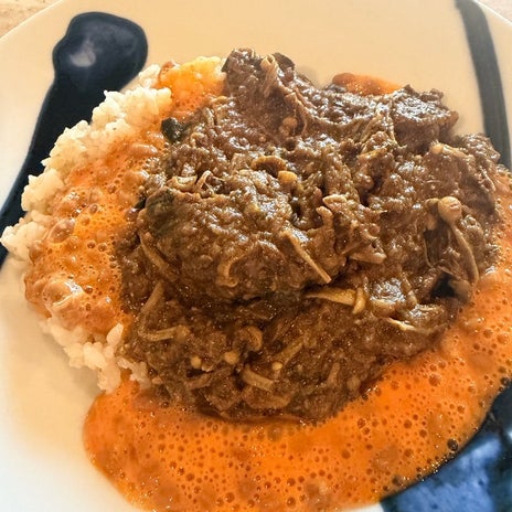 團十郎 カレーを食べて空港へ出発の画像