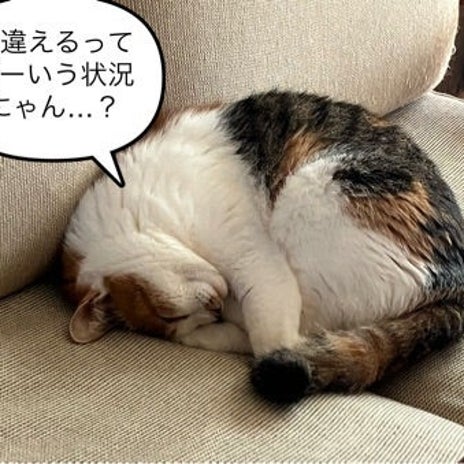 娘が自分の物にした可愛いクリップの画像