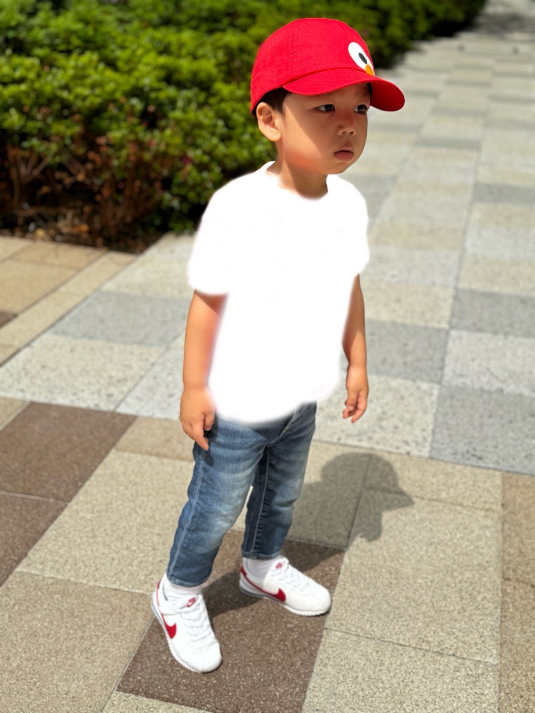 園の先生に聞こうかと思うこと