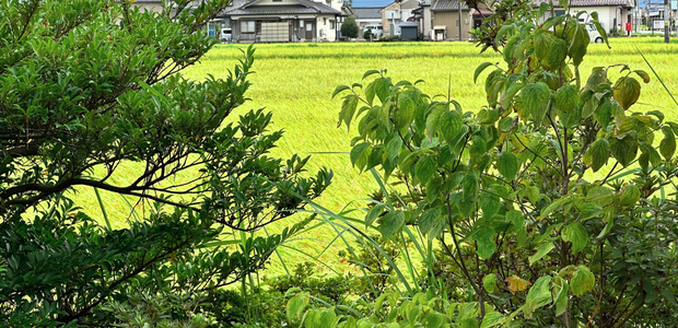 家づくりで後悔しないための相談の画像