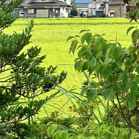 家づくりで後悔しないための相談の画像