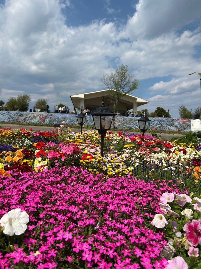 話してないのに同じだった葬儀社の画像