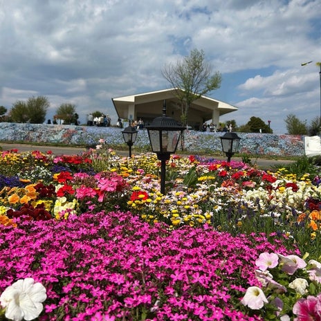 話してないのに同じだった葬儀社の画像