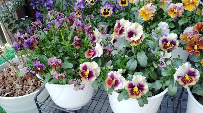 基礎を叩く車のドア開閉の衝撃の画像