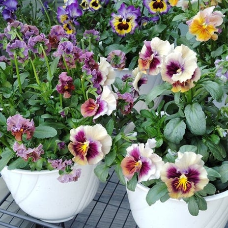 基礎を叩く車のドア開閉の衝撃の画像