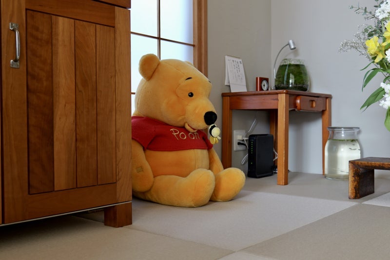 寂しそうだった相棒の新たな役割の画像