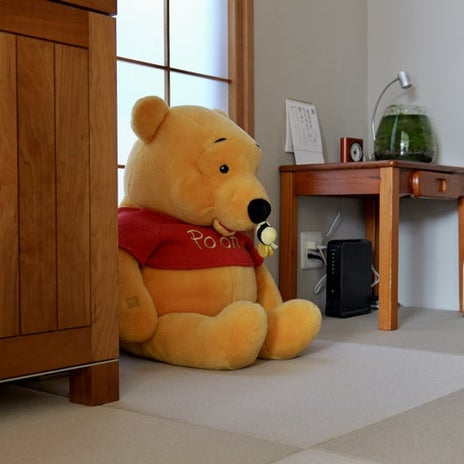 寂しそうだった相棒の新たな役割の画像