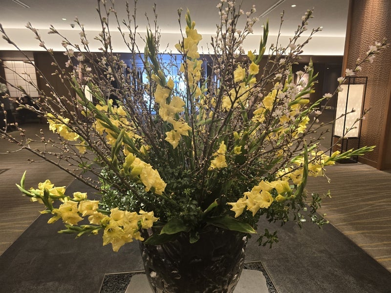 高橋英樹 グラジオラスかと思った花の画像