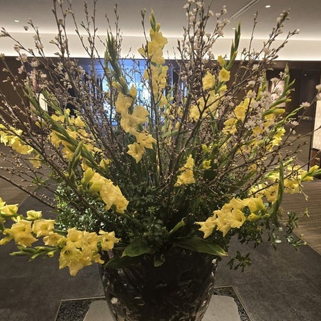 高橋英樹 グラジオラスかと思った花の画像