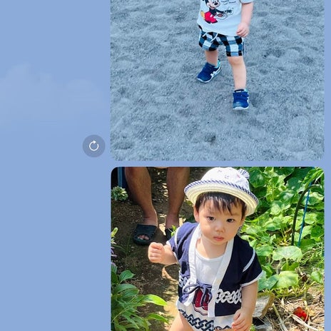 だいた 父のLINEに必ず出る写真の画像