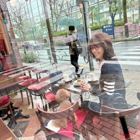 柏木由紀子 全面ガラスのカフェの画像