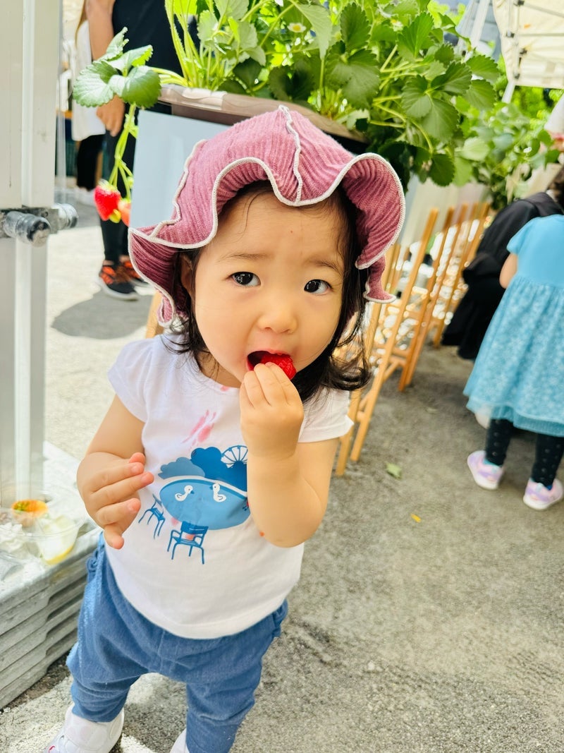 内山信二の妻 娘といちご狩り