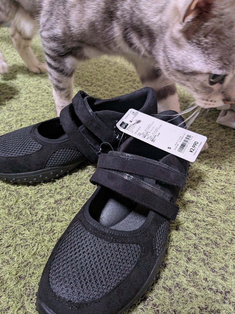 一目惚れした2990円のシューズの画像