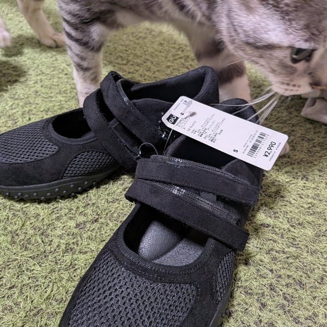 一目惚れした2990円のシューズの画像