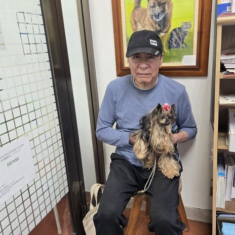 夫と動物病院でフィラリアの検査の画像