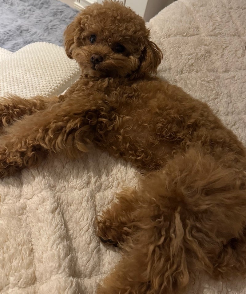 久しぶりに購入したかかとの救世主の画像