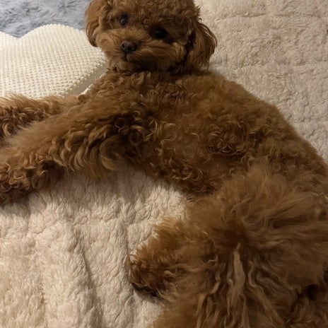 久しぶりに購入したかかとの救世主の画像