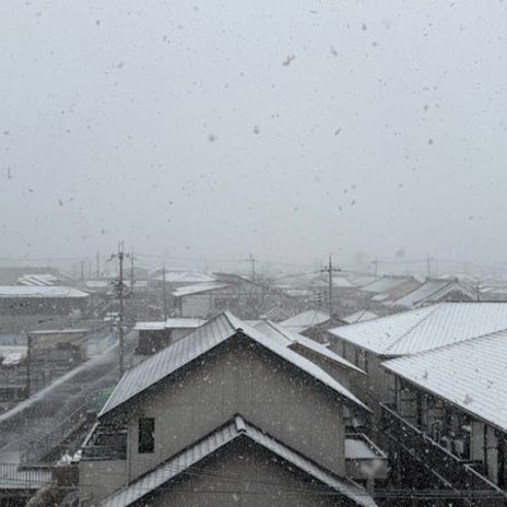 警報級の寒波でゴルフコンペ中止の画像