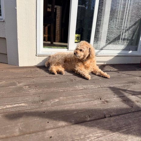 家じゅうの時計も設定やり直しの画像