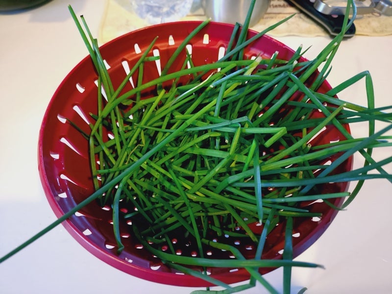 トピックス画像