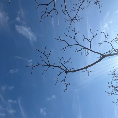 慌てて戻った25人待ちの耳鼻科の画像